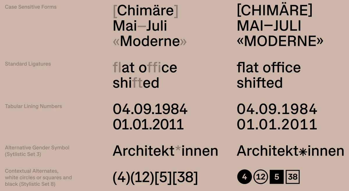 Proto Sans feature overview with ligatures, numeral styles, case-sensitive punctuation and alternate characters.