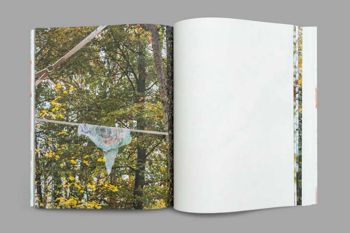 An installation photograph among autumn trees on the left, beside a pale folded page revealing another image along its edge.
